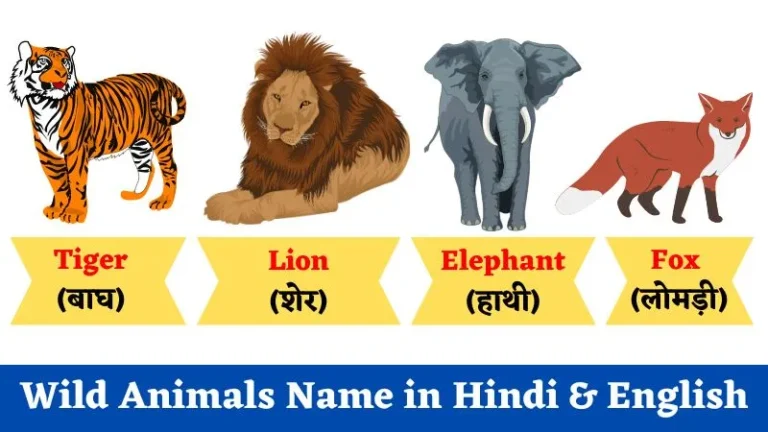 Wild Animals Name in Hindi