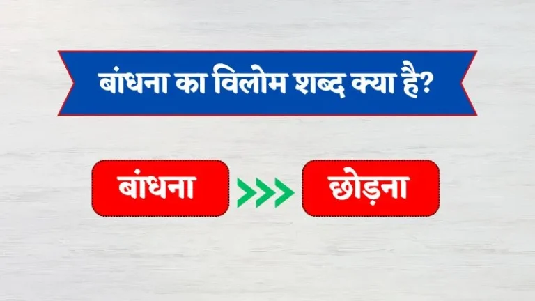 Bandana Ka Vilom Shabd