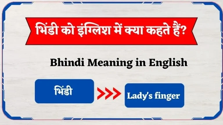 Bhatije Ko English Mein Kya Kehte Hain