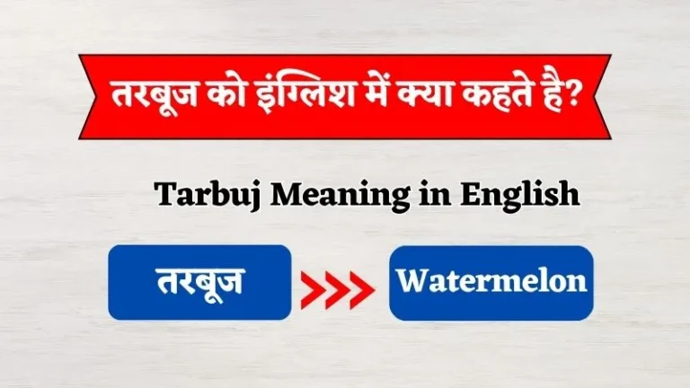 Tarbuj Ko English Mein Kya Kehte Hain