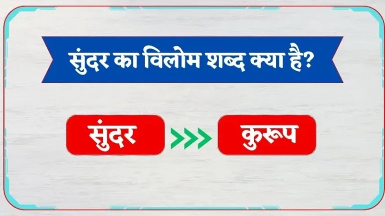 सुंदर का विलोम शब्द क्या है