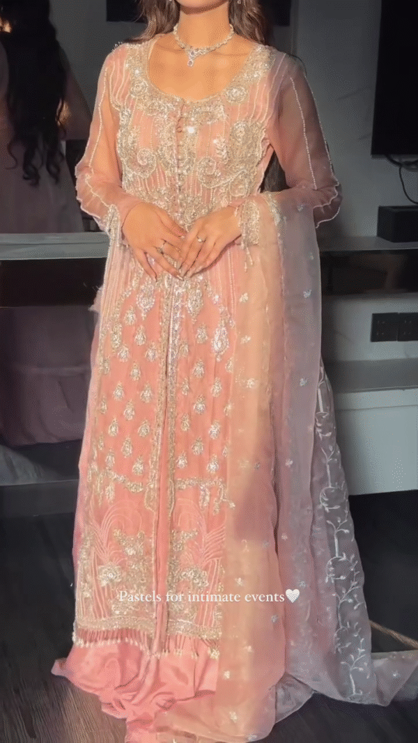💕 Pastel Perfection – Peach-Pink Formal Dress with Silver Work - Image 2