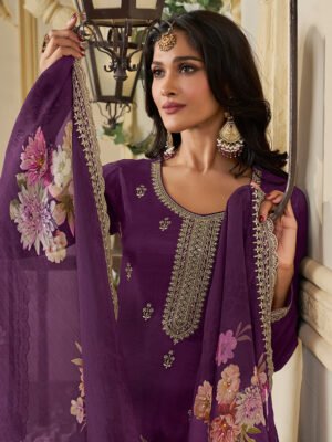 Velvet Veil – Regal Touch Salwar Suit