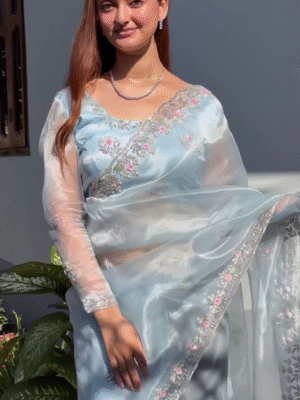 Organza Saree – Lightweight, Embroidered Borders
